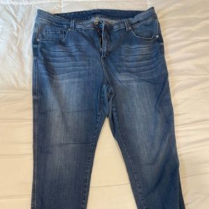 Melissa McCarthy plus size skinny jeans